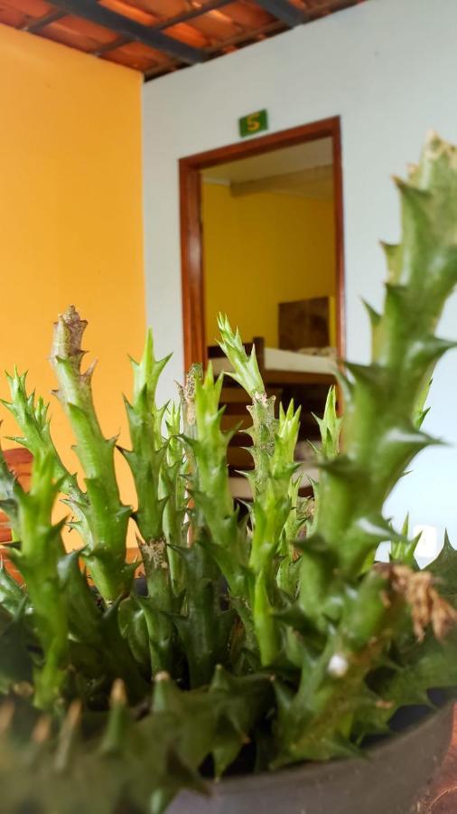 Pousada Pe De Serra Mucuge Bagian luar foto